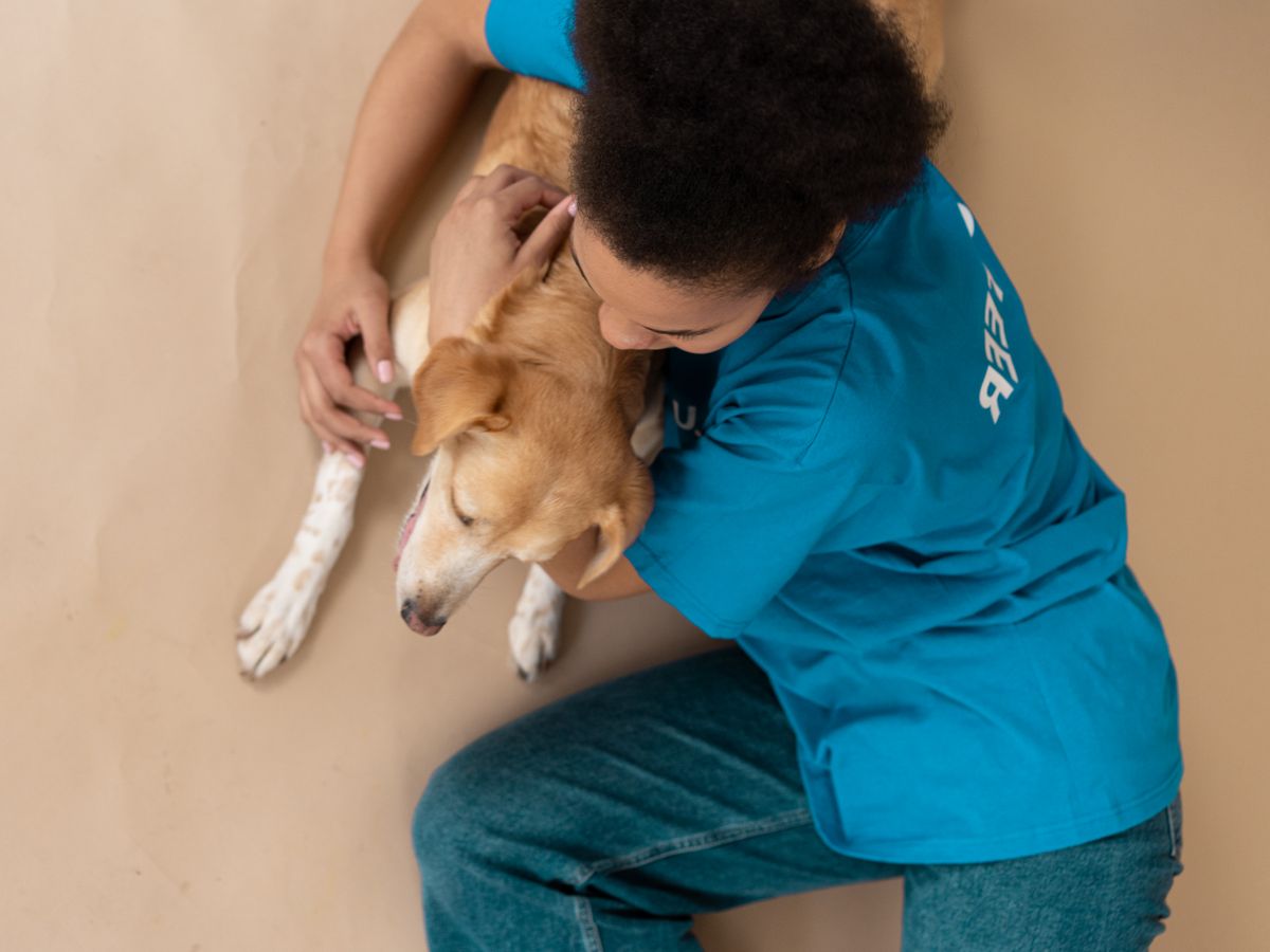 Uma pessoa de camisa azul abraçando seu cachorro, vista de cima